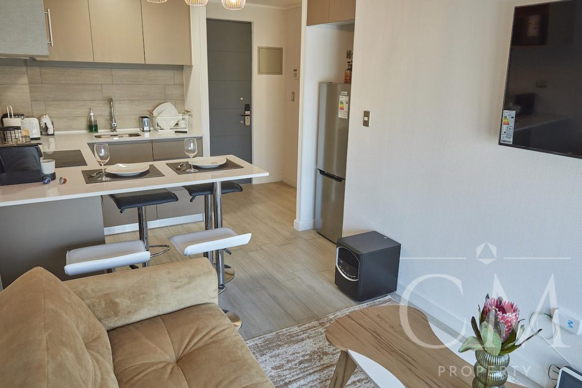 Departamento En Stgo Centro Semi Nuevo