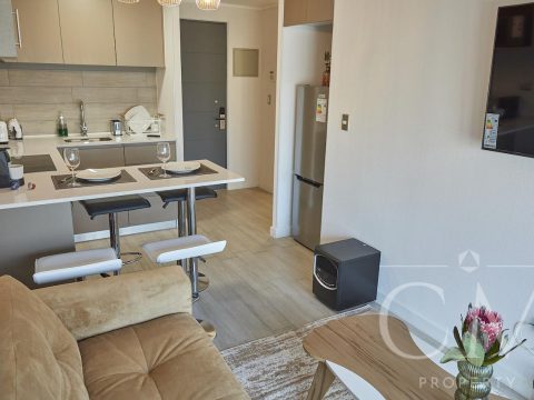 Departamento Venta en Santiago — Departamento En Stgo Centro Semi Nuevo