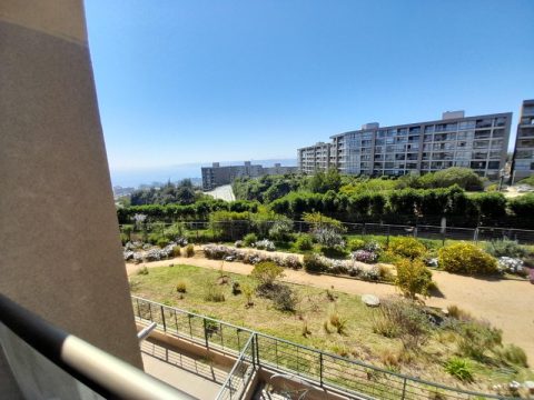 Departamento Arriendo en Viña del Mar — Amplio Departamento 3 Dormitorios 2 Baños