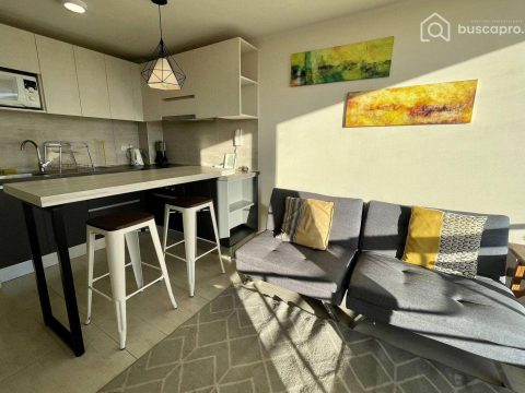 Departamento Arriendo en Concepción — Amoblado A Pasos Udd 1D 1B Estacionamiento Maipu Con Ainavillo