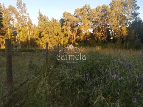 Parcela Venta en Los Ángeles — Se Vende Sitio Rural
