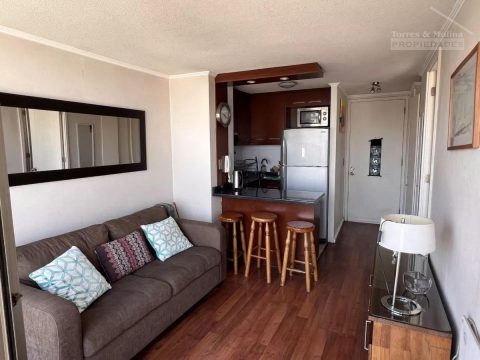Departamento Arriendo en Santiago — Amoblado, Acogedor Con Estacionamiento