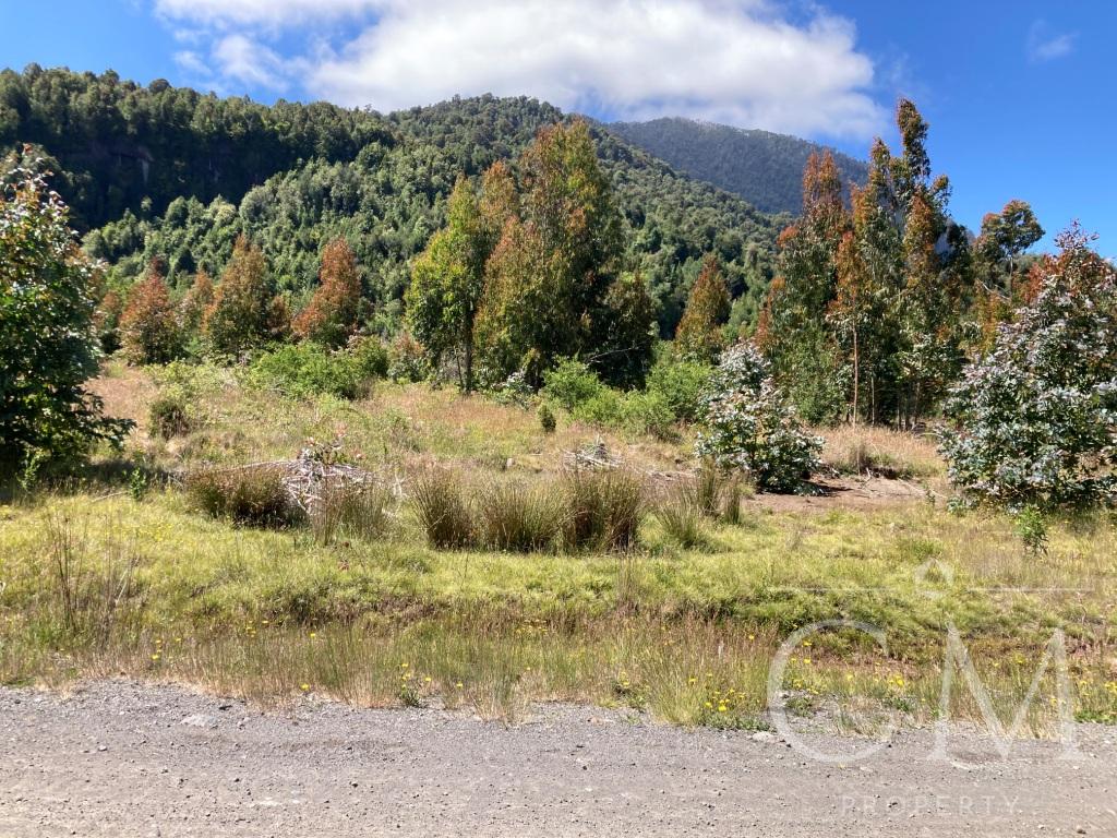 Se Vende Parcela Bosque Andino