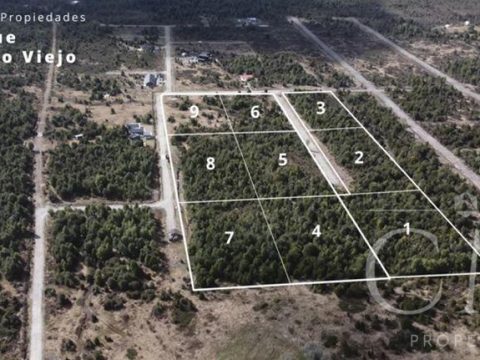 Parcela Venta en Puerto Varas — Parcelas En Bosque Molino Viejo Puerto Varas