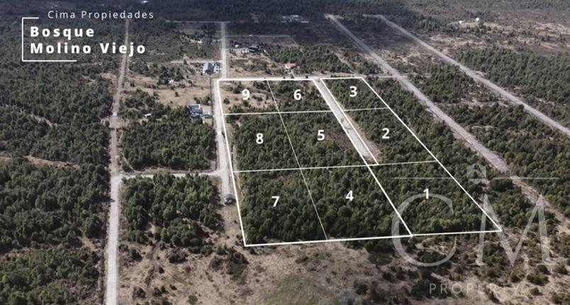 Parcelas En Bosque Molino Viejo Puerto Varas