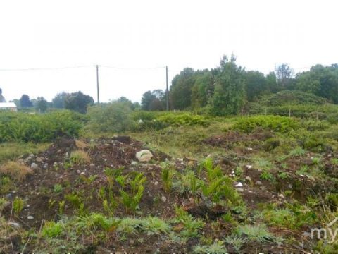 Parcela Venta en Puerto Varas — Venta Parcela En Acceso Sur A Puerto Varas