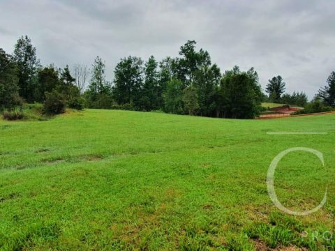 Parcela Venta en Valdivia — Parcela En Chancoyan