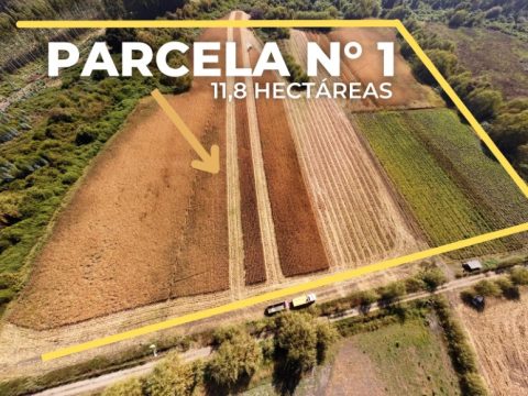 Parcela Venta en Talca — Se Vende Parcela 11,8 Hãƒâ¡S.sector Porvenir Palmira Abajo, Ruta K-613 Talca