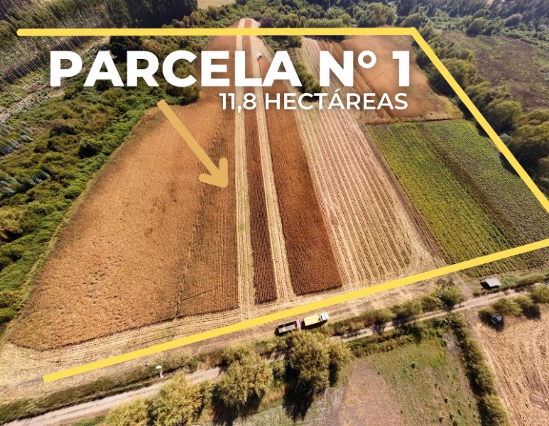 Se Vende Parcela 11,8 Hãƒâ¡S.sector Porvenir Palmira Abajo, Ruta K-613 Talca