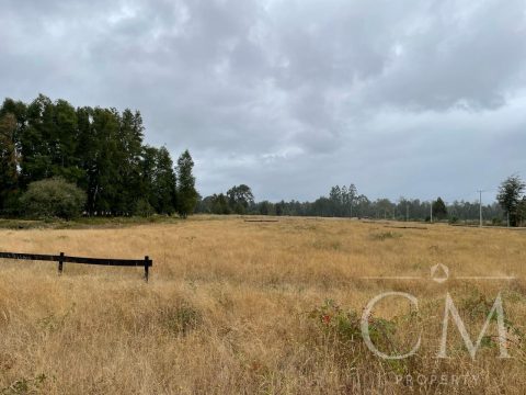 Loteo Venta en Valdivia — Se Vende Exclusivo Loteo Aguas De Tralcao