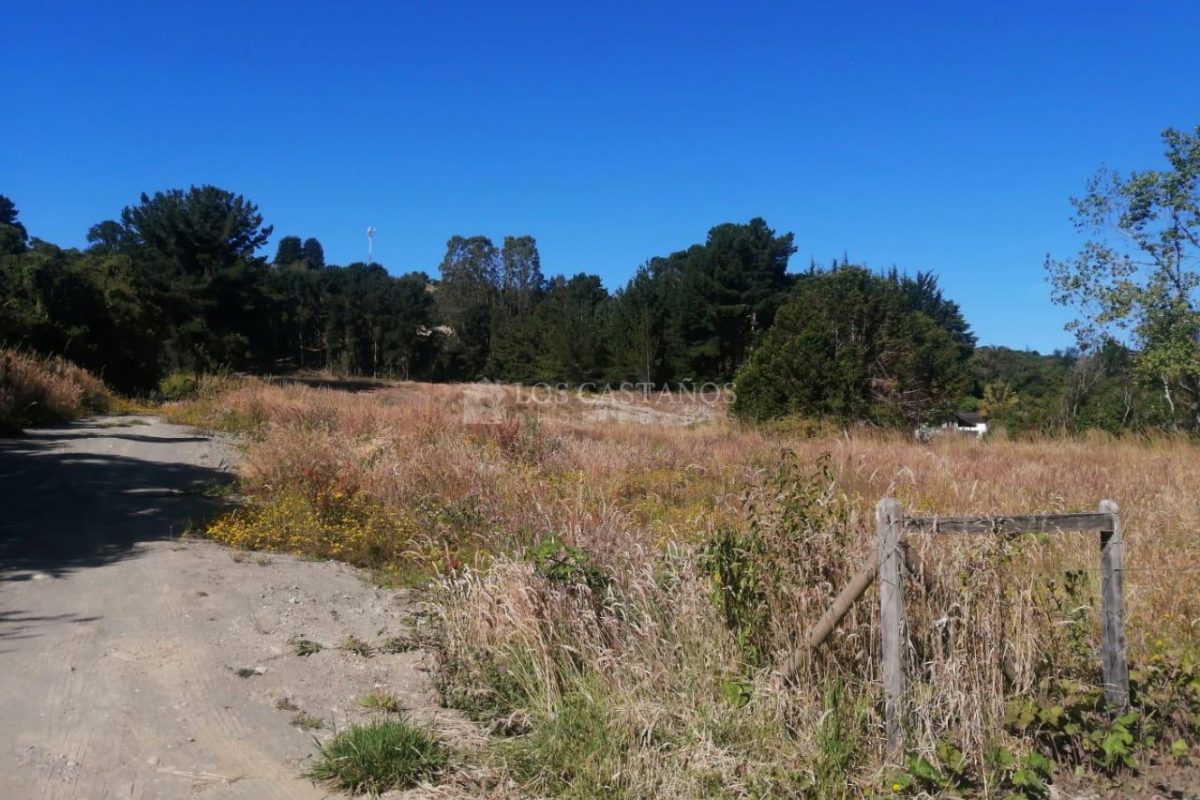 Terreno 30.000 M2 Chinquihue Km 9