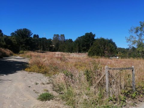 Terreno Venta en Puerto Montt — Terreno 30.000 M2 Chinquihue Km 9