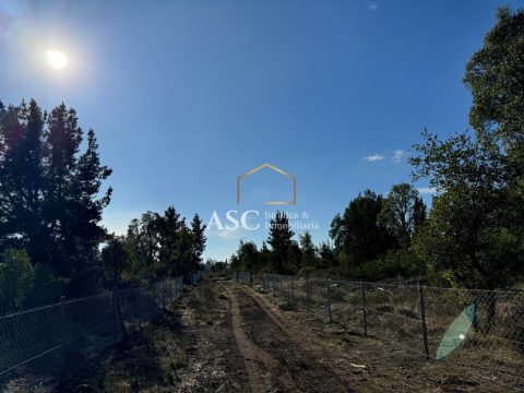 Parcela Venta en Los Ángeles — Hijuela Santa Rosa