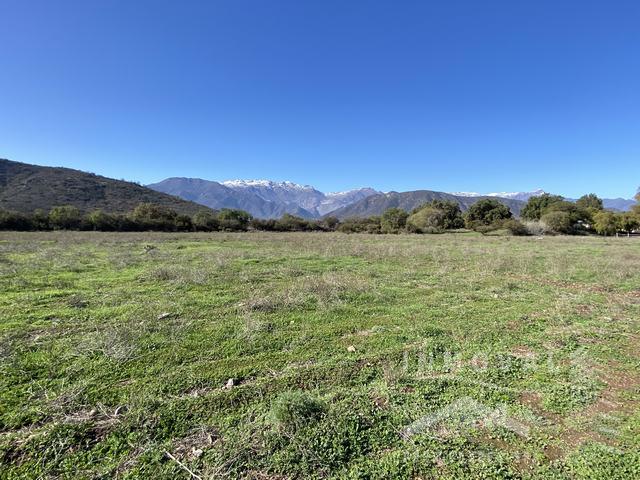 Hermosas Parcelas, El Melã“N.