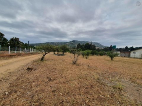Parcela Venta en Talca — En Venta Parcela 5000M2, Santa Rosa De Lavadero