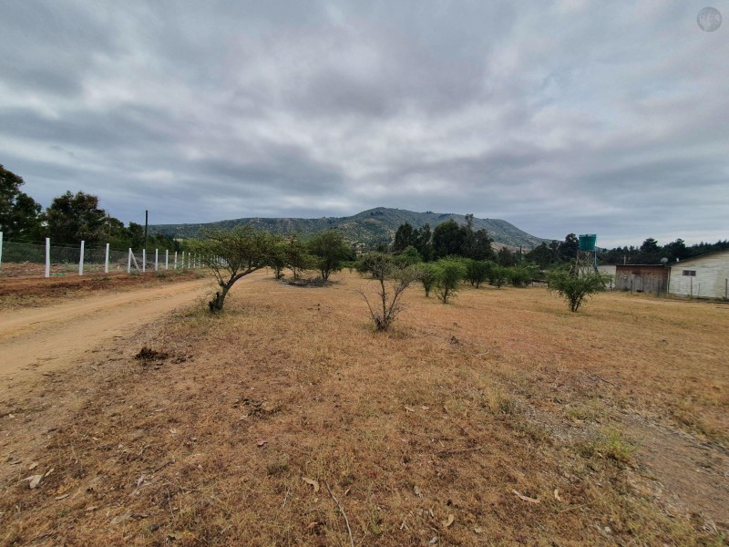 En Venta Parcela 5000M2, Santa Rosa De Lavadero
