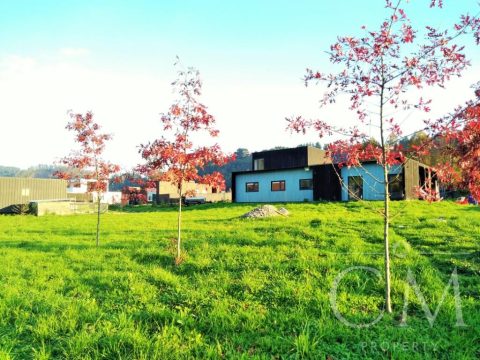 Parcela Venta en Valdivia — Amplia Propiedad En Quitacalzon