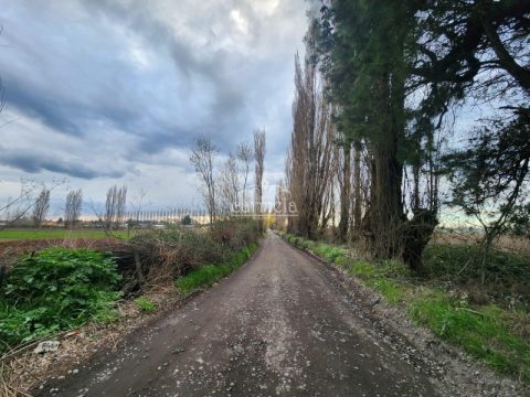 Parcela Venta en Los Ángeles — Se Vende Parcela Sector Campo Alegre