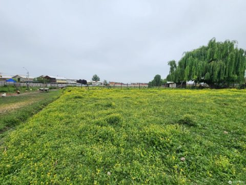 Terreno Venta en Machalí — Se Vende Terreno De 10.600 M2 En Machali