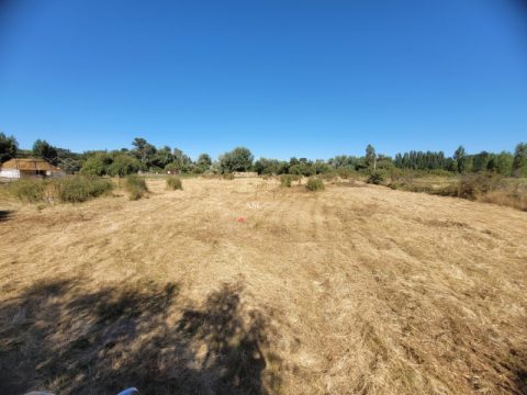 Terreno Venta en Los Ángeles — Sector Rarinco