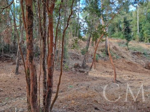 Parcela Venta en Valdivia — Parcela Nâº 120 En Sector Pichihuape