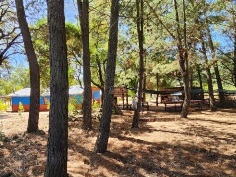 Parcela Venta en Los Ángeles — Parcela El Olivo En Venta