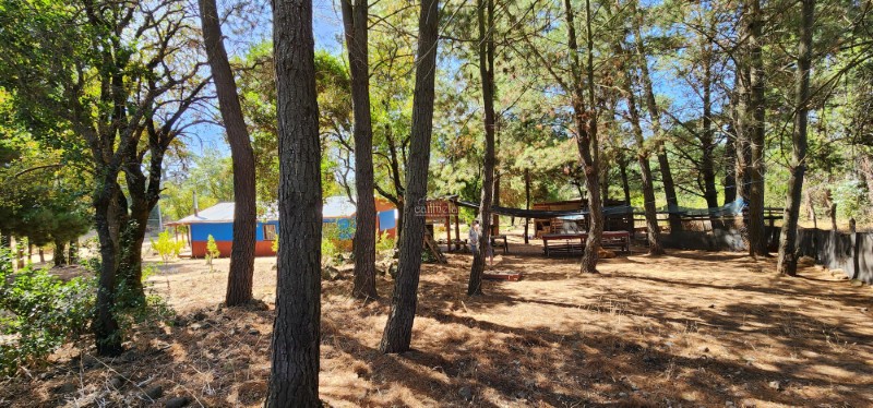 Parcela El Olivo En Venta