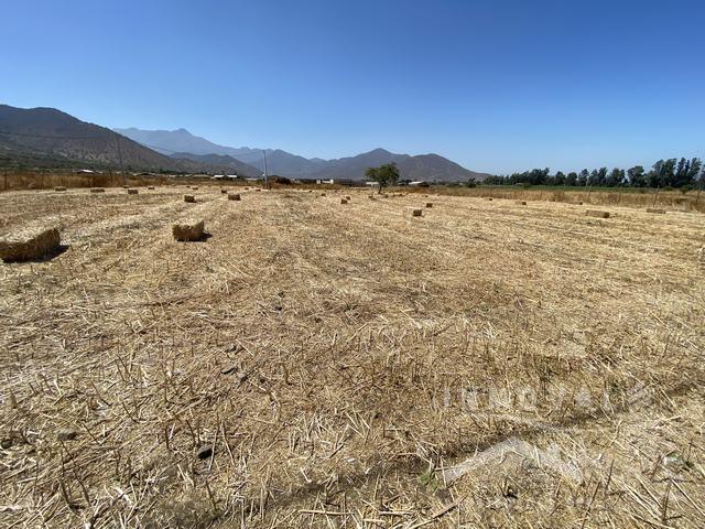 Hermosa Parcela Con Luz Y Agua, En El Melã“N.
