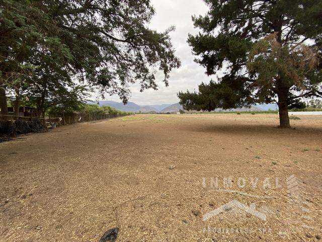 Hermosa Parcela 4,2 Hectareas, El Melã“N.