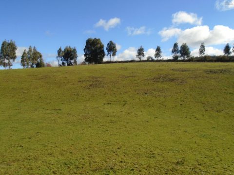 Campo Venta en Río Bueno — Hermoso Campo Ruta T70 La Unión
