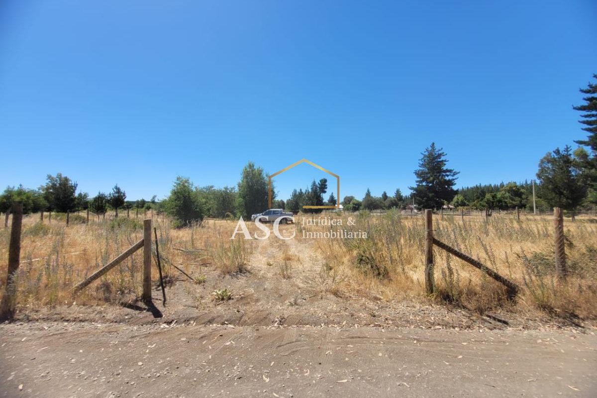 Cam. MarãA Dolores