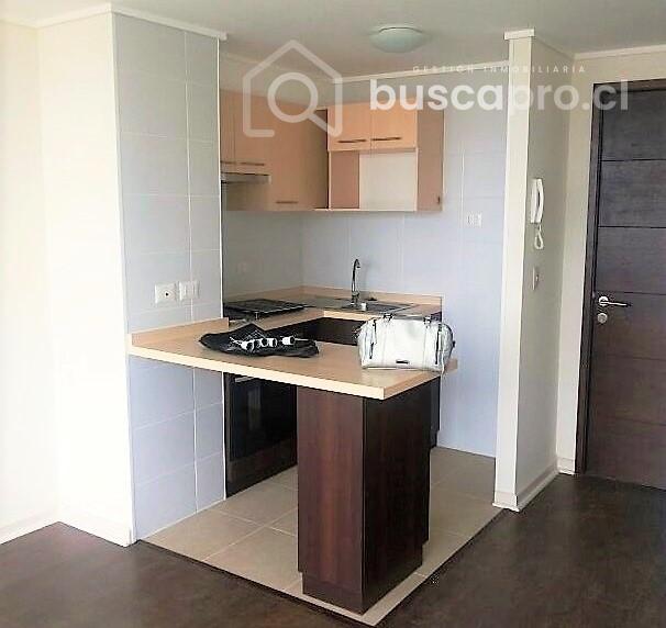 Centrico Departamento 1D 1B A Pasos Paicavi