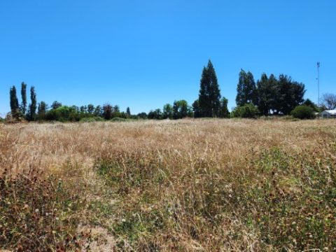 Parcela Venta en Los Ángeles — Se Vende Parcela Doña Berta