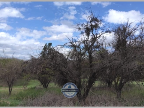 Local Comercial Venta en Curacaví — Vende Parcela En Curacavã