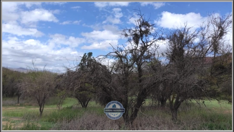 Vende Parcela En Curacavã