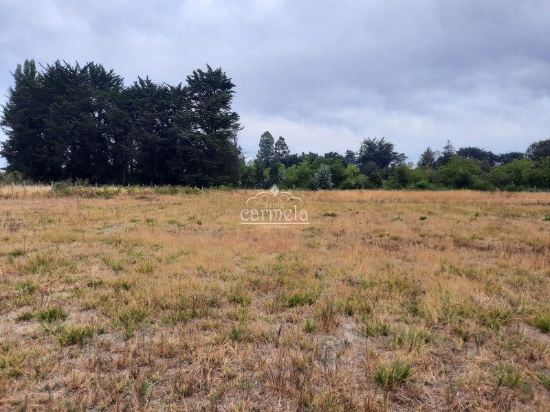 Venta Parcela Palo Alto