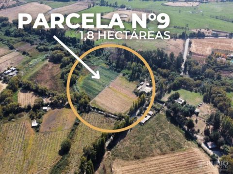 Parcela Venta en Talca — Se Vende Parcela De 1,8 Has. Sector Porvenir Palmira Abajo, Ruta K-613 Talca