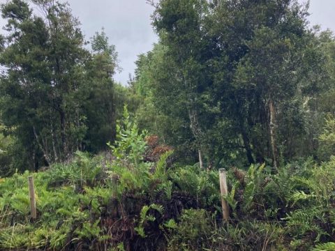 Loteo Venta en Puerto Montt — Parcela Ruta 5 Sur Sector Alto Bonito