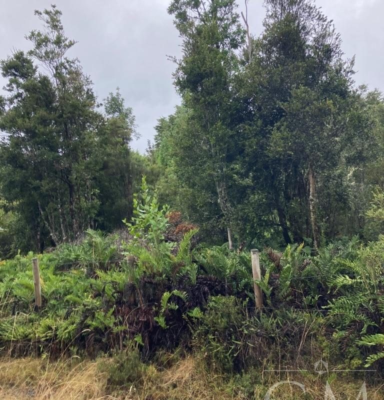 Parcela Ruta 5 Sur Sector Alto Bonito