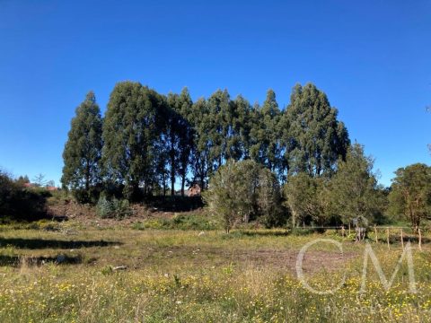 Parcela Venta en Puerto Montt — Se Venden Parcelas En Parcelaciã“N Playa Chamiza