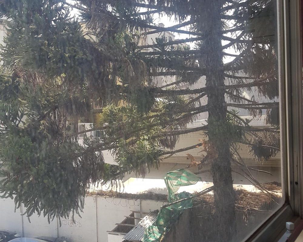 Arriendo Oficina Central