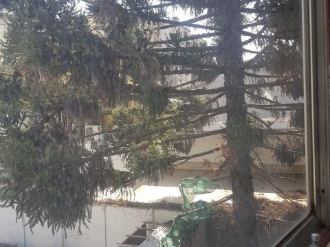 Oficina Arriendo en Talca — Arriendo Oficina Central