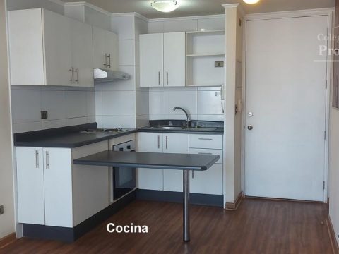 Departamento Arriendo en Estación Central — Lindo Departamento En Arriendo . 1D / 1B Con Bod. A Boca Metro Ecuador Por Alameda