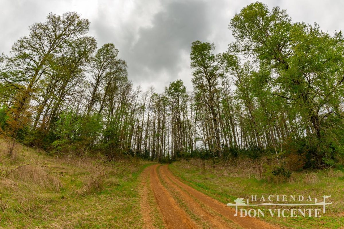 Hacienda Don Vicente, Camino A Antilhue