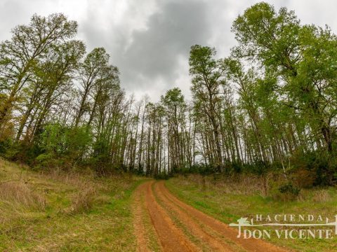 Parcela Venta en Valdivia — Hacienda Don Vicente, Camino A Antilhue