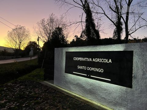 Parcela Venta en Valdivia — Parcela En Agrícola Sto Domingo