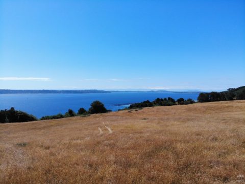 Terreno Venta en Castro — Campo En Castro 4,5 Ha Con Amplia Vista Al Mar Y A Isla Quinchao