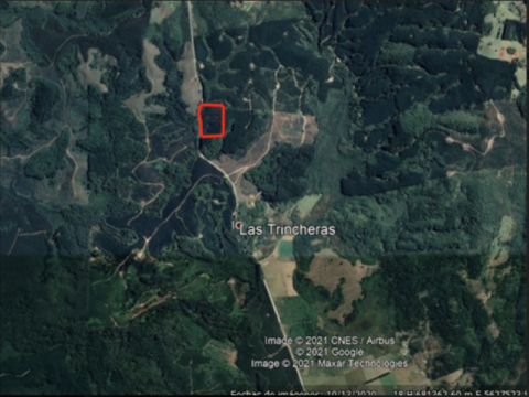 Terreno Venta en Valdivia — Se Vende Terreno Forestal