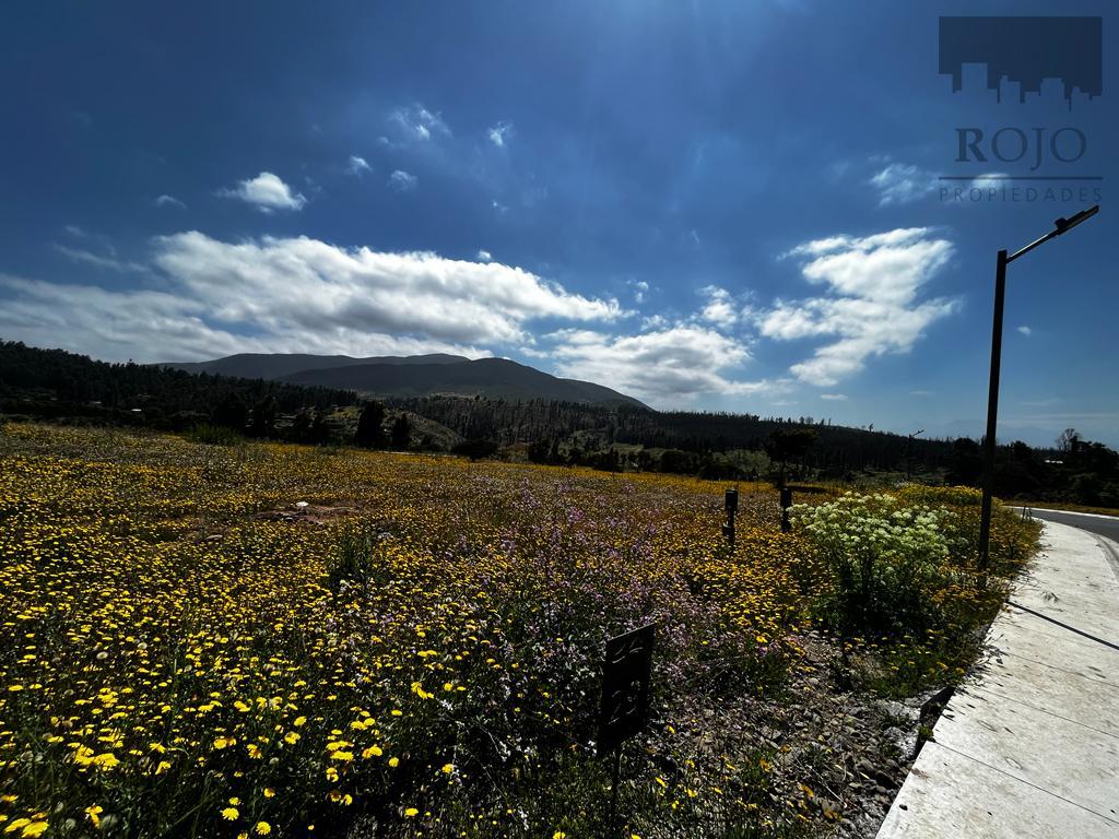 Sitio En Condominio, A 10 Minutos De Concón, 804 M2, Luz Y Agua