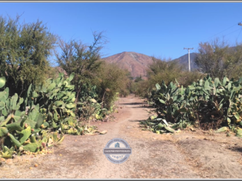 Parcela Venta en Curacaví — Oportunidad Vende Parcela Curacavã